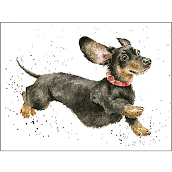 That Friday Feeling Card (Dachshund)