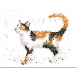 Calico Cat Card Calico Cat Card