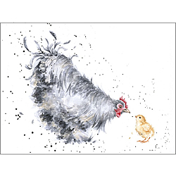 Mother Hen Card (Chicken) Mother Hen Card (Chicken)