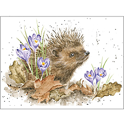 New Beginnings Card (Hedgehog) New Beginnings Card (Hedgehog)