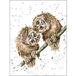 Two Heads Are Better Than One Card (Owls)