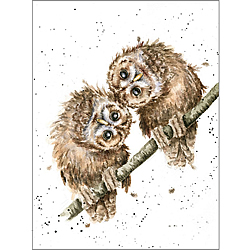 Two Heads Are Better Than One Card (Owls) Two Heads Are Better Than One Card (Owls)
