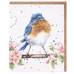 The Bluebird Card (Bluebird) The Bluebird Card (Bluebird)