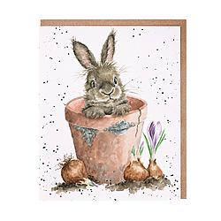 The Flower Pot Card (Rabbit) The Flower Pot Card (Rabbit)