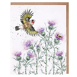 Feathers & Thistles Card (Bird)
