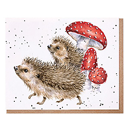 A Prickly Adventure Card (Hedgehog) A Prickly Adventure Card (Hedgehog)