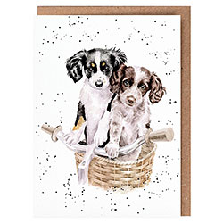 Paws And Pedals Card (Dogs)