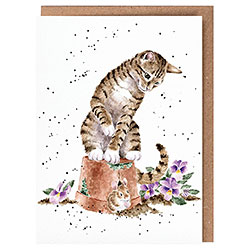Hide And Squeak Card (Cat & Mouse)
