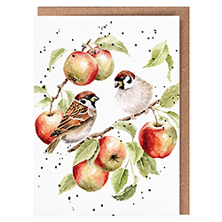 The Apple Tree Card (Sparrows) The Apple Tree Card (Sparrows)