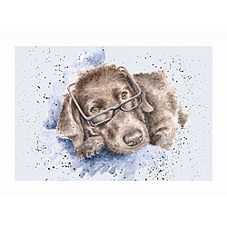 Chocolate Labrador Card (Molly) Chocolate Labrador Card (Molly)