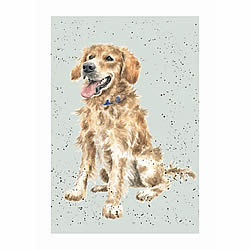 Golden Retriever Card (Alfie) Golden Retriever Card (Alfie)