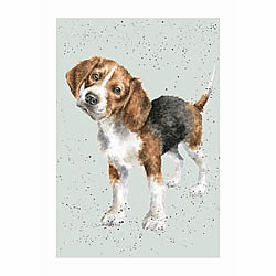 Beagle Card (Lady)