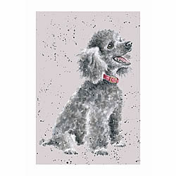 Poodle Card (Alice)