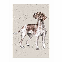 German Shorthaired Pointer Card (Fara) German Shorthaired Pointer Card (Fara)