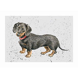 Dachshund Card (Hugo)