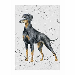 Doberman Card (Rodney) Doberman Card (Rodney)