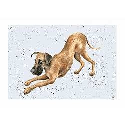 Great Dane Card (Scooby) Great Dane Card (Scooby)