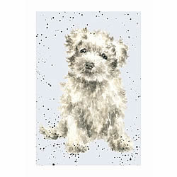 Maltese Card (Phoebe) Maltese Card (Phoebe)