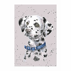Dalmatian Card (Harvey) Dalmatian Card (Harvey)