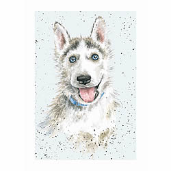 Husky Card (Blue) Husky Card (Blue)