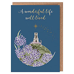 A Forever Friend Card (Cat Sympathy) A Forever Friend Card (Cat Sympathy)