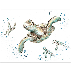 Swimming School Card (Sea Turtles)