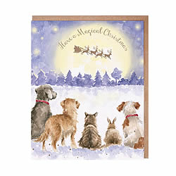 A Magical Christmas Card A Magical Christmas Card
