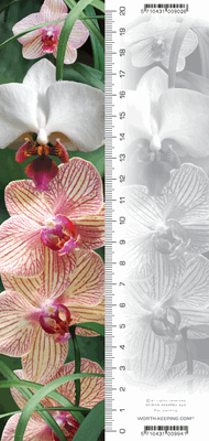 Orchid Bookmark