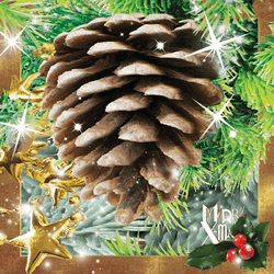 Christmas Cone Card
