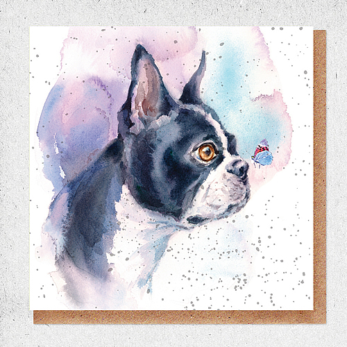 Boston Terrier Card - Click Image to Close