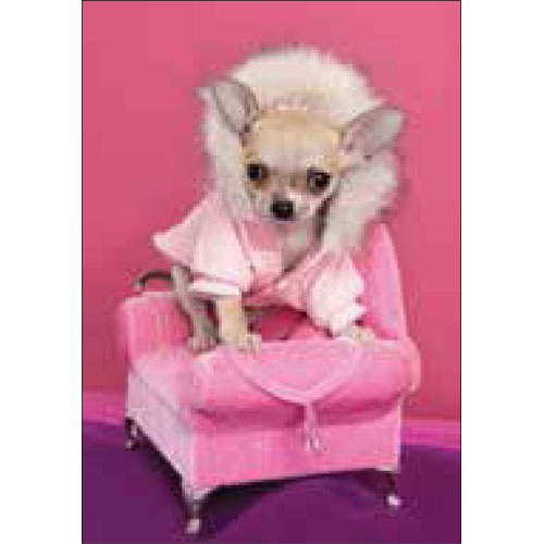 Pink Princess Dog Card - Click Image to Close
