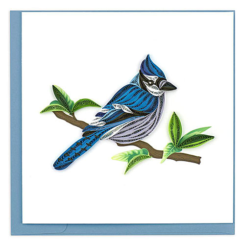 Blue Jay Card - Click Image to Close