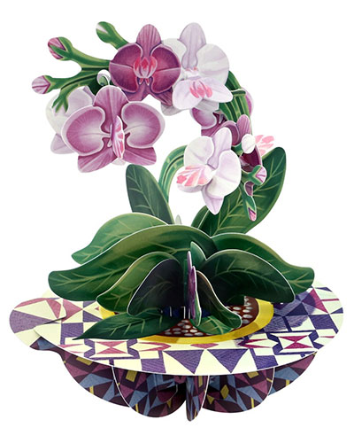 Orchid Card - Click Image to Close