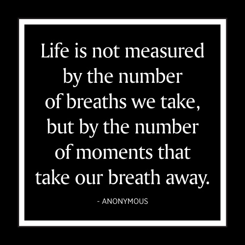 Life Is Not Measured Card - Click Image to Close