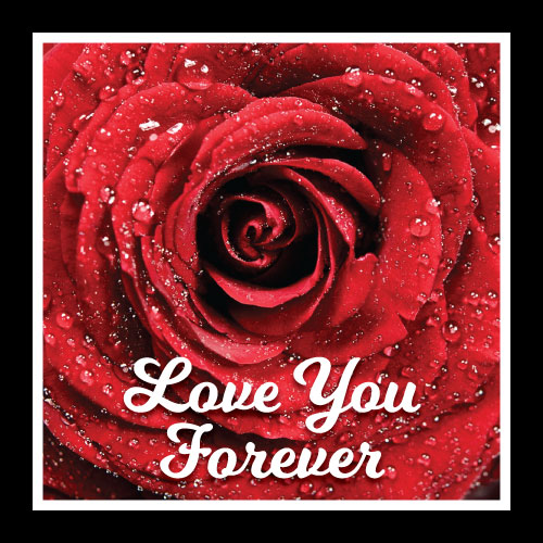 Love You Forever Greeting Card - Click Image to Close