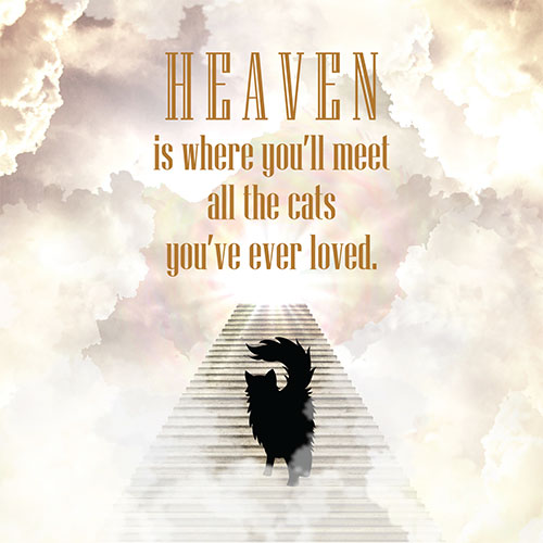 Cat Heaven Card - Click Image to Close