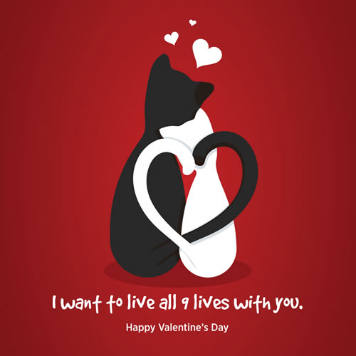 I Want To Live All 9 Lives With You Card - Click Image to Close