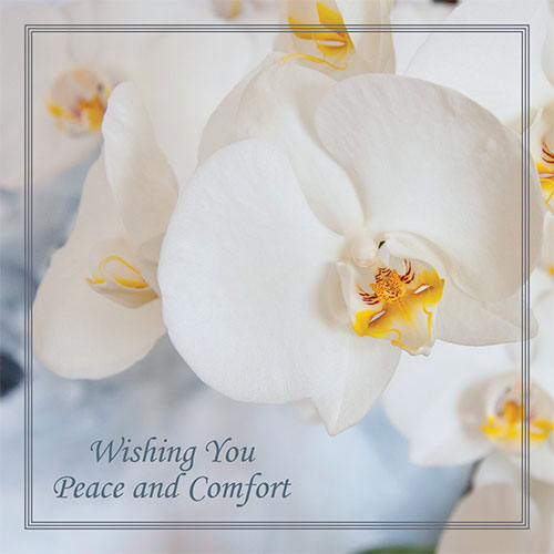 Wishing You Peace And Comfort Card - Click Image to Close