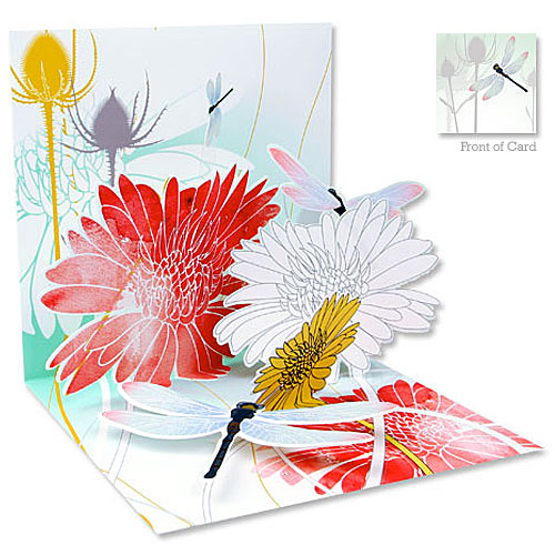 Dragonfly Morning Card - Click Image to Close