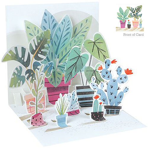 Potted Plants Card - Click Image to Close