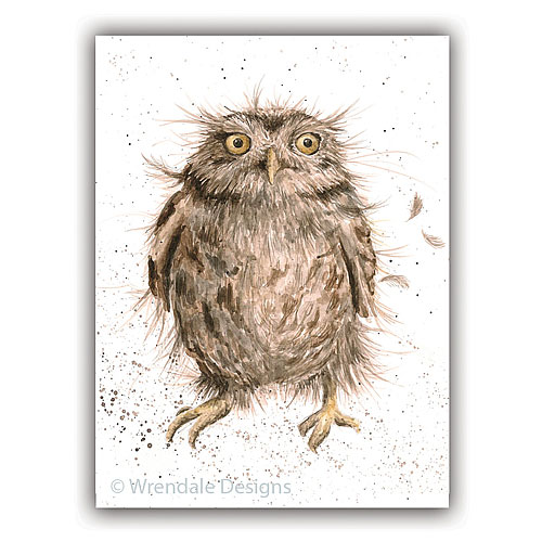 What a Hoot Card (Owl) - Click Image to Close