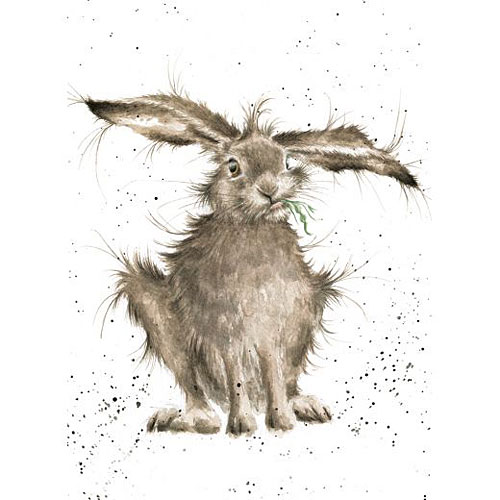 Hare Brained Card (Rabbit) - Click Image to Close