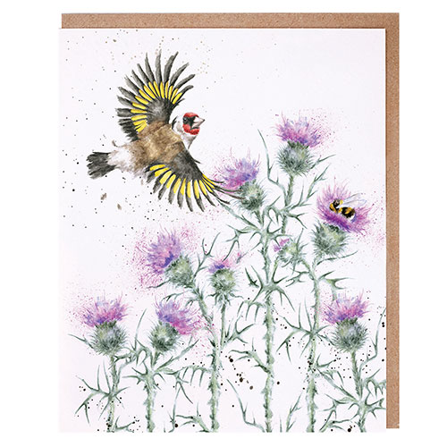 Feathers & Thistles Card (Bird) - Click Image to Close