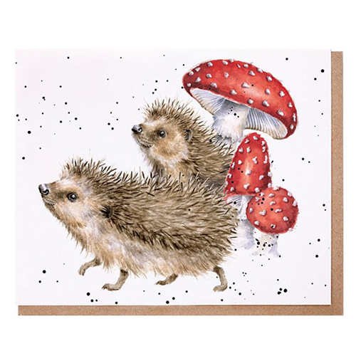 A Prickly Adventure Card (Hedgehog) - Click Image to Close