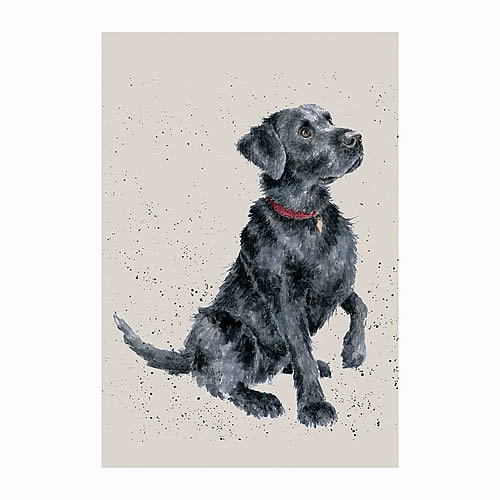 Black Labrador Card (Jack) - Click Image to Close