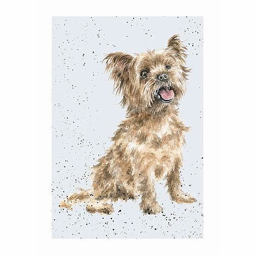 Yorkshire Terrier Card (Ralph) - Click Image to Close