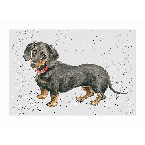 Dachshund Card (Hugo) - Click Image to Close