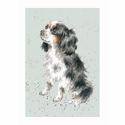 Cavalier King Charles Spaniel Card (George) - Click Image to Close