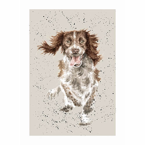 English Springer Spaniel Card (Skye) - Click Image to Close