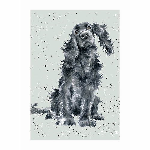 Black Cocker Spaniel Card (Lupo) - Click Image to Close